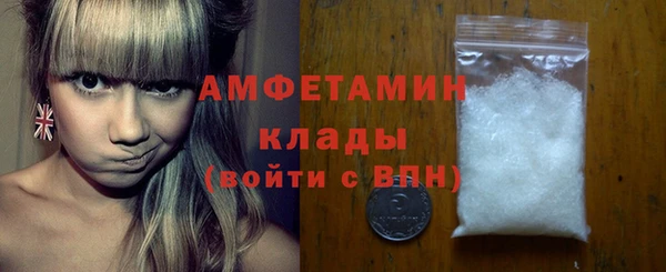 трава Карпинск