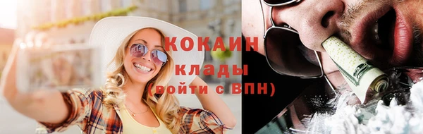 трава Карпинск