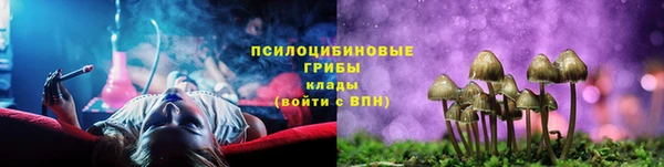 трава Карпинск