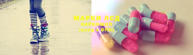 трава Карпинск