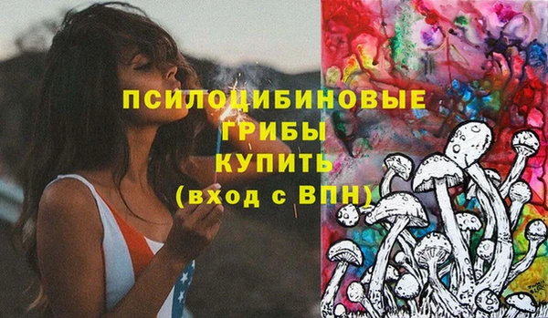 трава Карпинск
