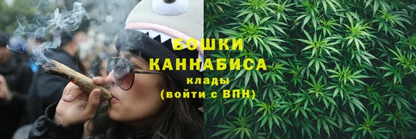 трава Карпинск