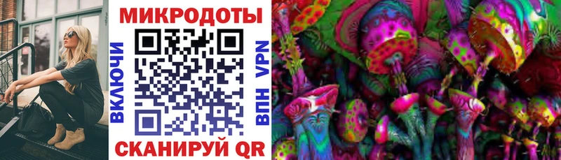 Псилоцибиновые грибы Magic Shrooms  Купить  Волоколамск 
